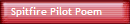Spitfire Pilot Poem