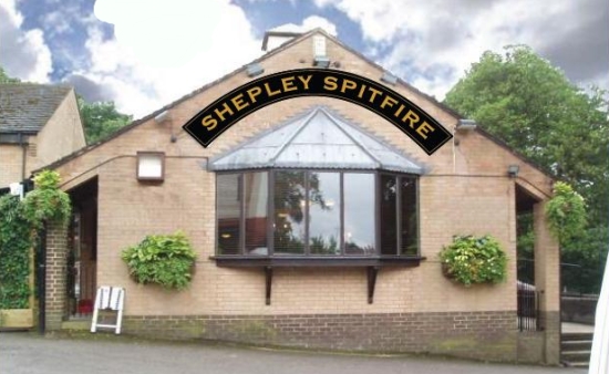 shepley 1