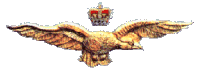 wings20